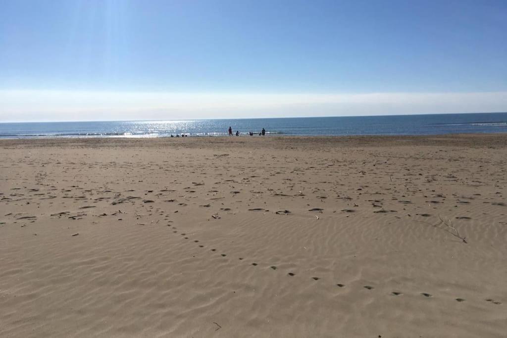 Appartement Neuf 4 Etoiles - Sunset Lodge, Narbonne Plage Exteriör bild